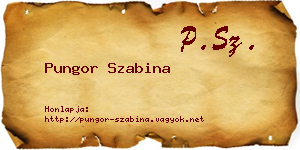 Pungor Szabina névjegykártya